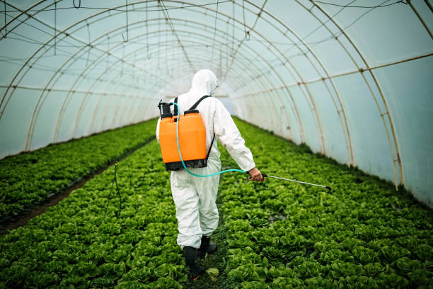 Best Affordable Pest Control Services  in Chester, NY