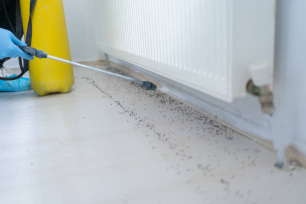 Best Pest Removal Services  in Chester, NY