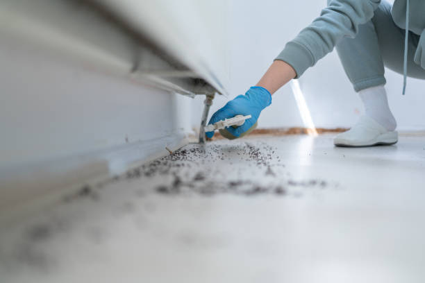 Reliable Chester, NY Pest Control Solutions